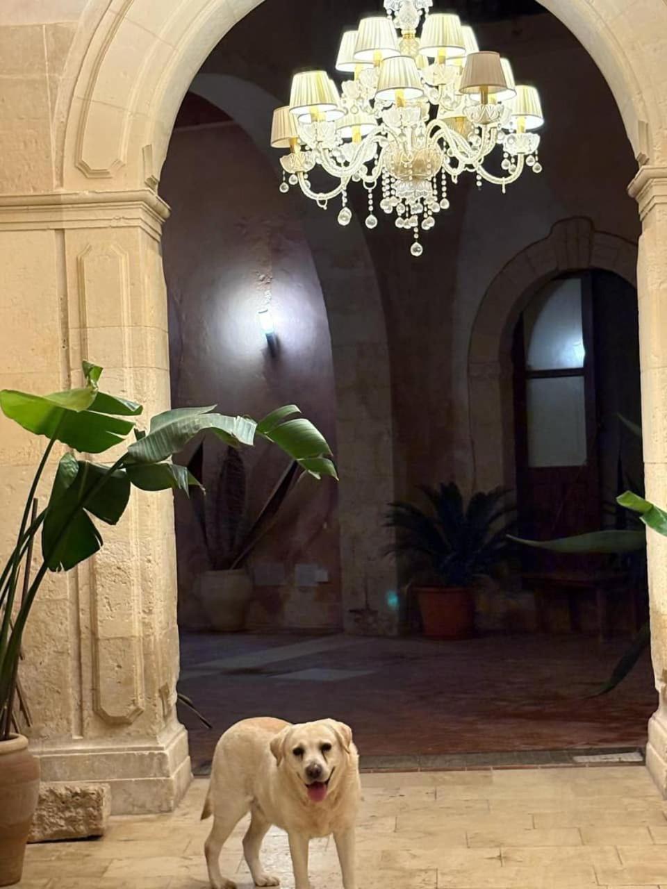 Palazzo Gancia Holiday Homes シラクーサ エクステリア 写真