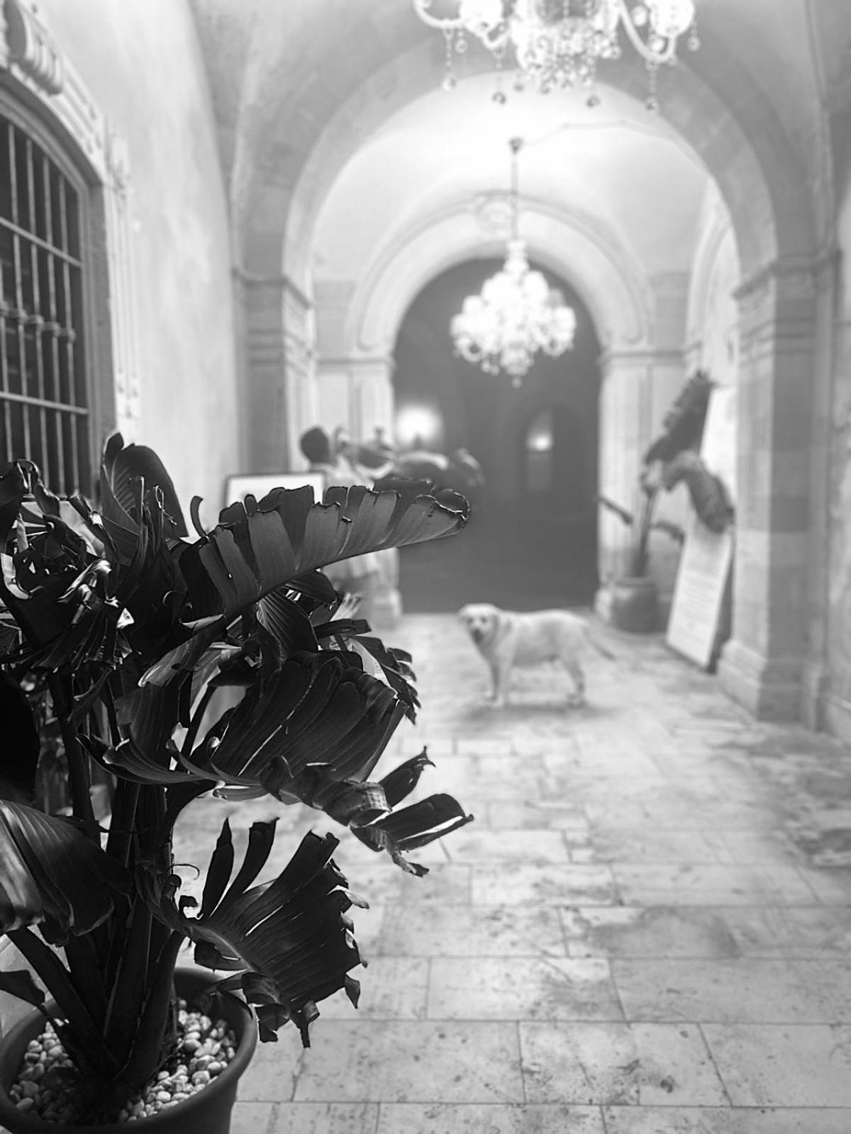 Palazzo Gancia Holiday Homes シラクーサ エクステリア 写真